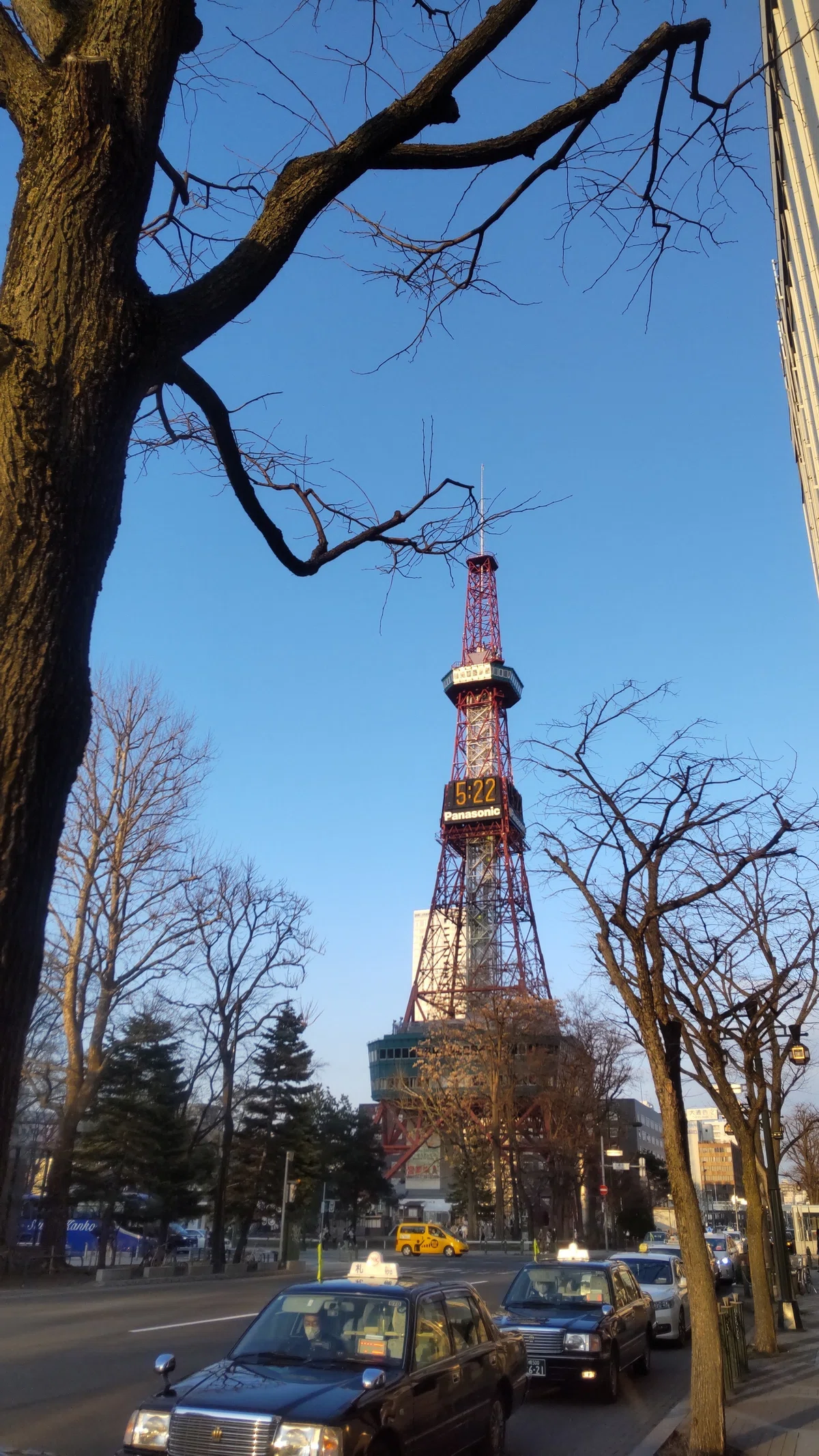 夕日に照らされる札幌テレビ塔の写真