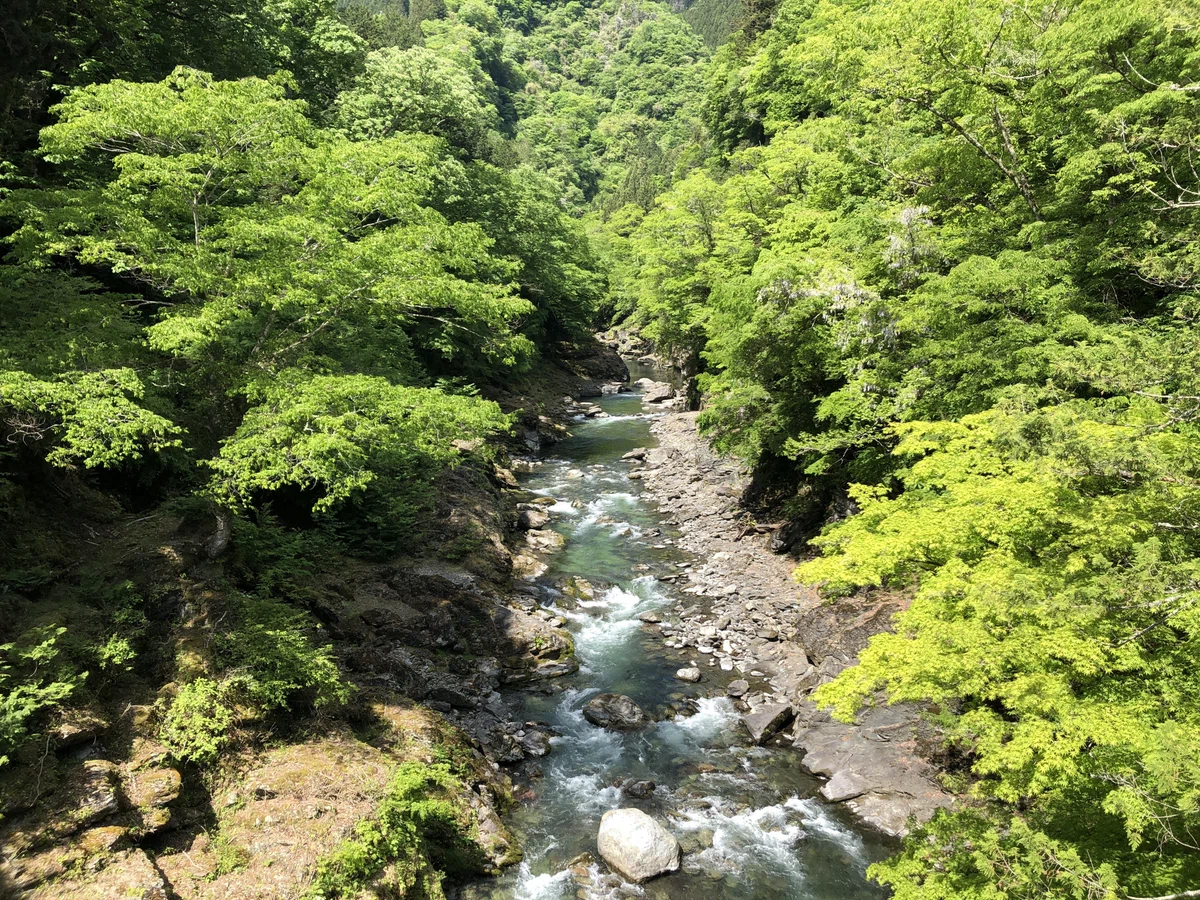 登竜橋からの眺め（左側）
