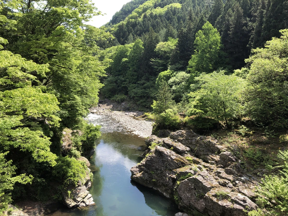 登竜橋からの眺め（右側）