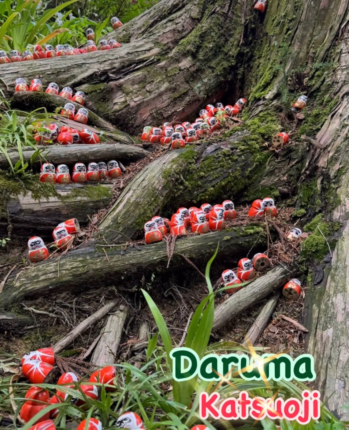 勝尾寺は大阪市内から北に、北摂山系の中心にある箕面大滝 の奥、標高