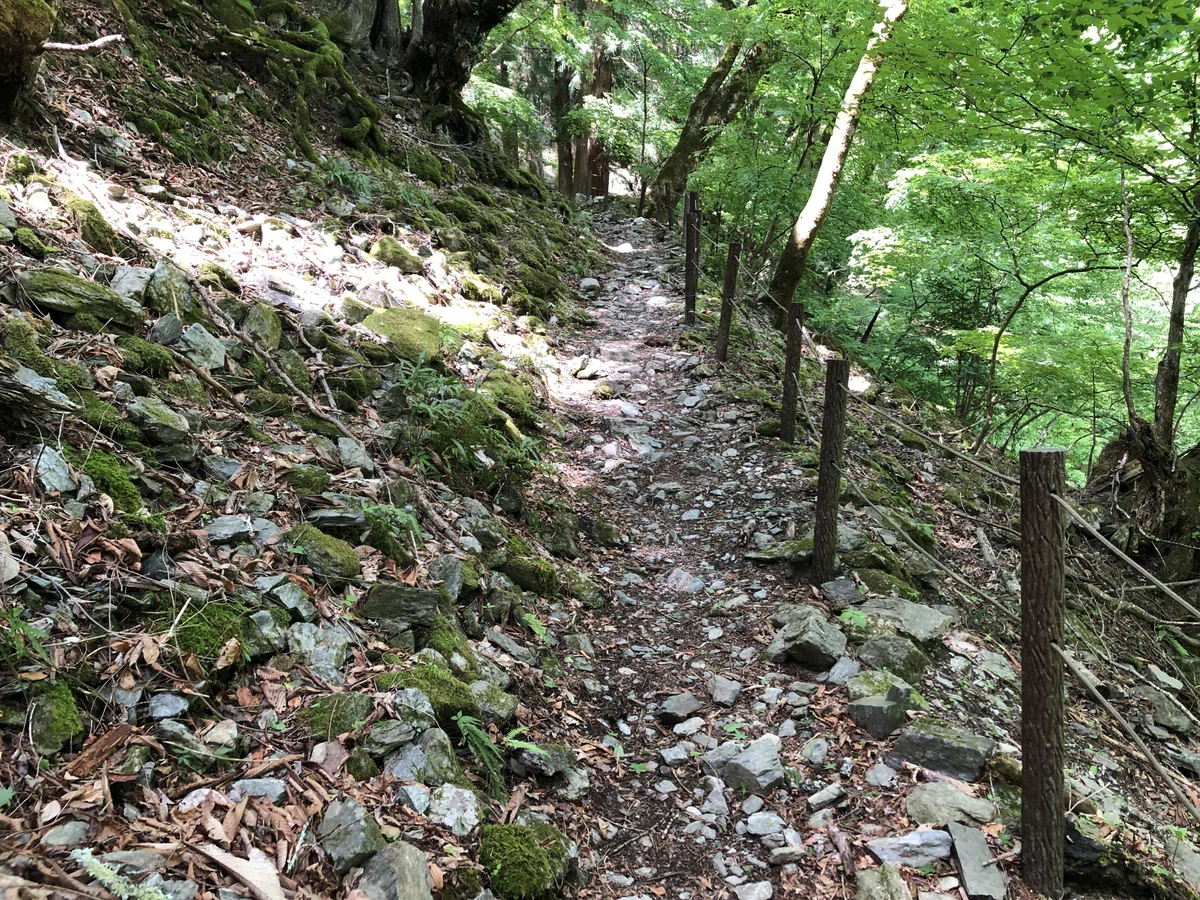 新緑と木漏れ日が綺麗な山道