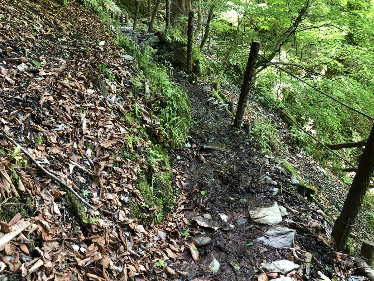 道幅が狭いぐちょぐちょの道