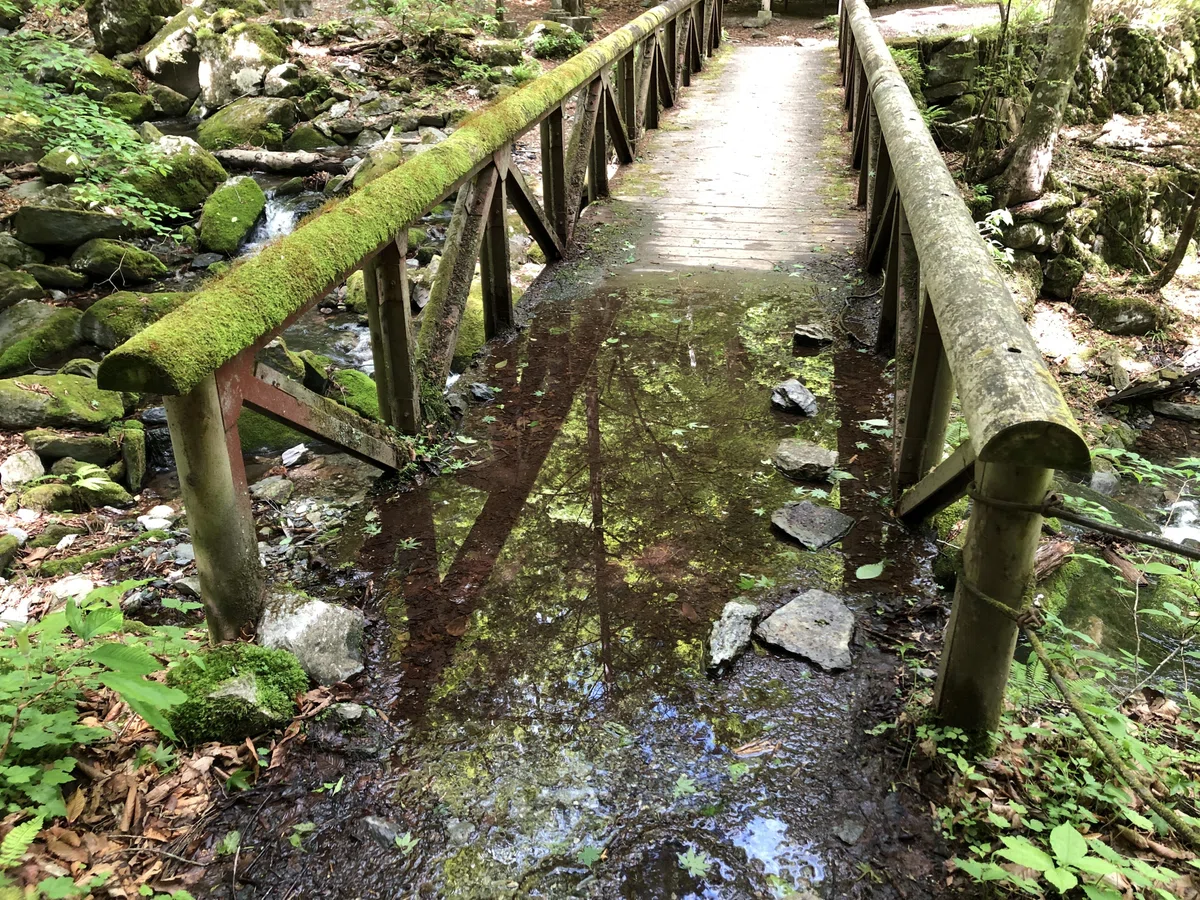 橋の上の水たまりと置かれた石