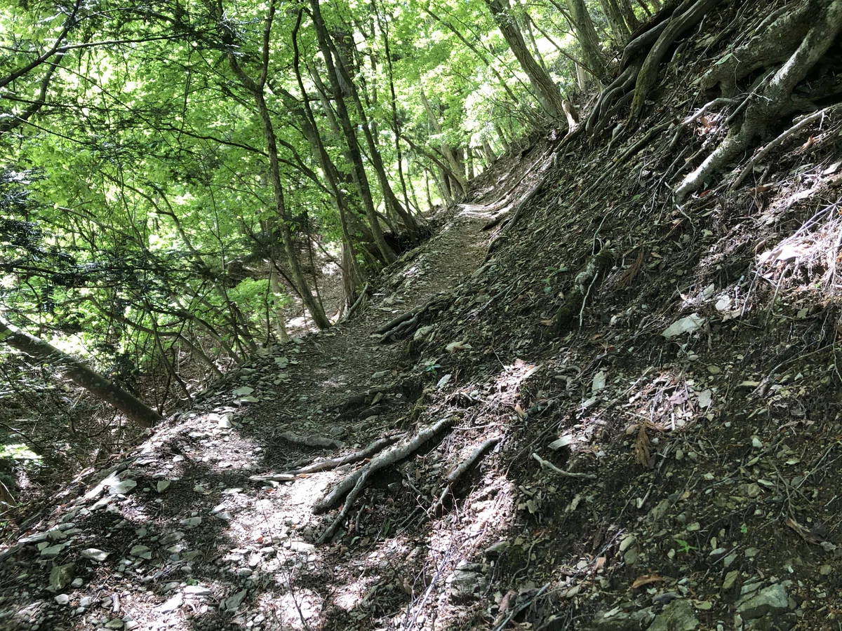 清浄の滝から先の山道