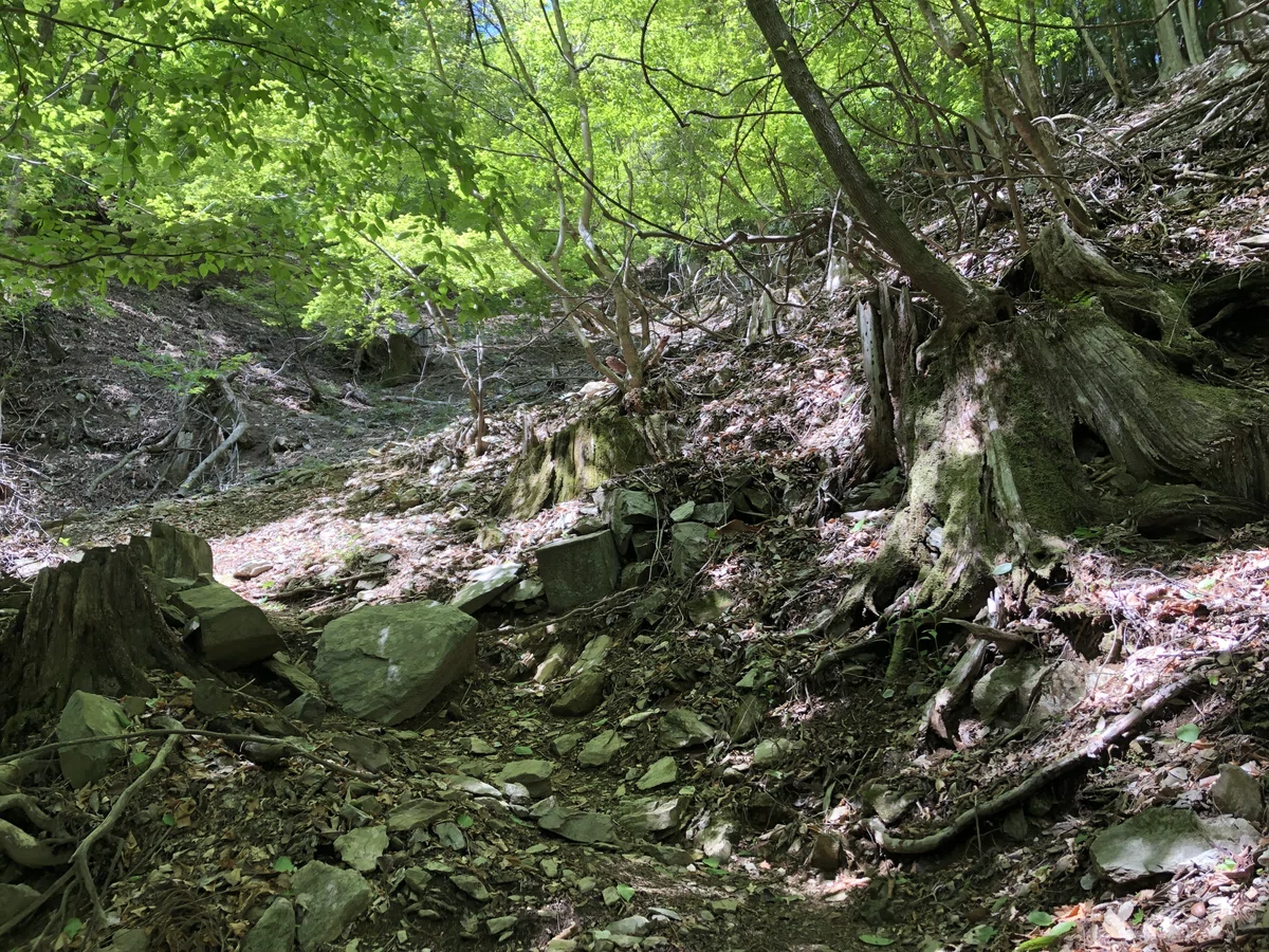 ゴロゴロとした石のある山道
