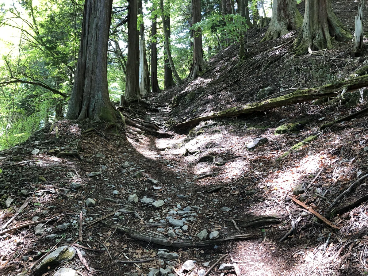 薬師堂跡からの山道