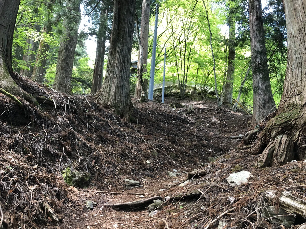 大きめの家屋から少し進んだ場所から見える家屋の屋根
