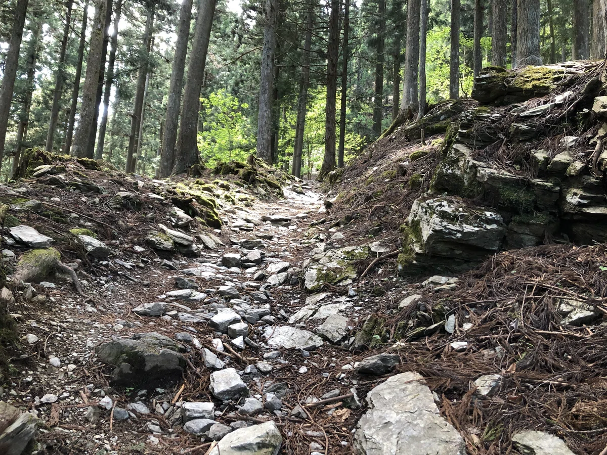 三峯神社手前の山道