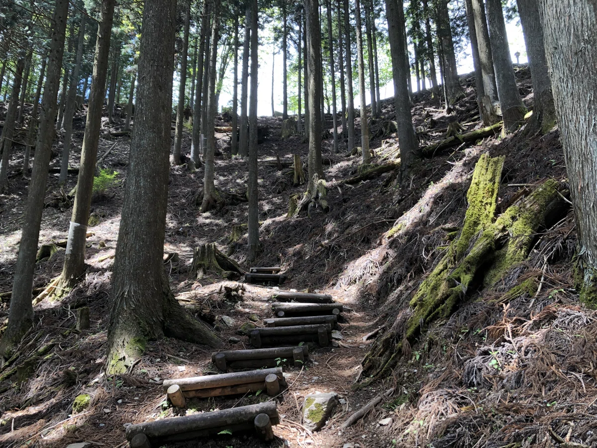 三峯神社手前の階段