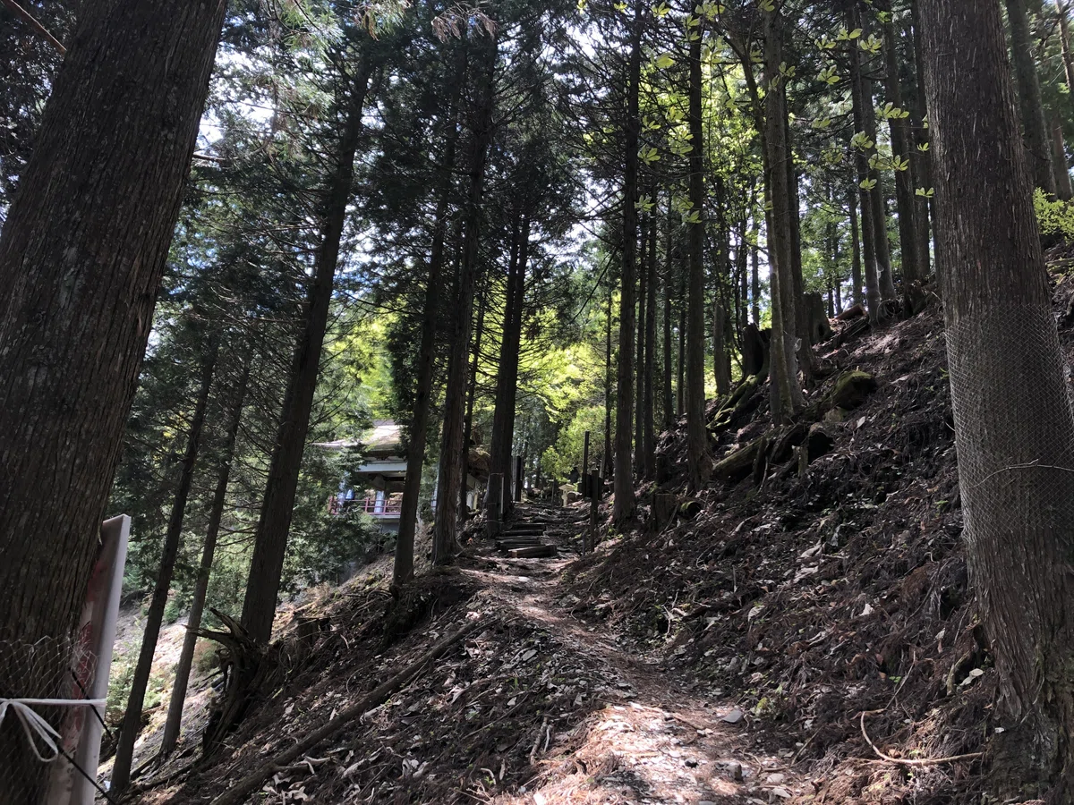 山道の先に見える展望台