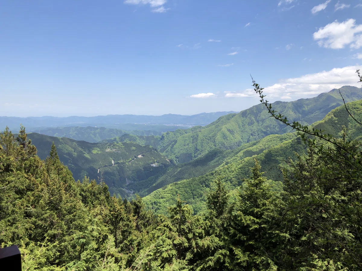 展望台からの景色