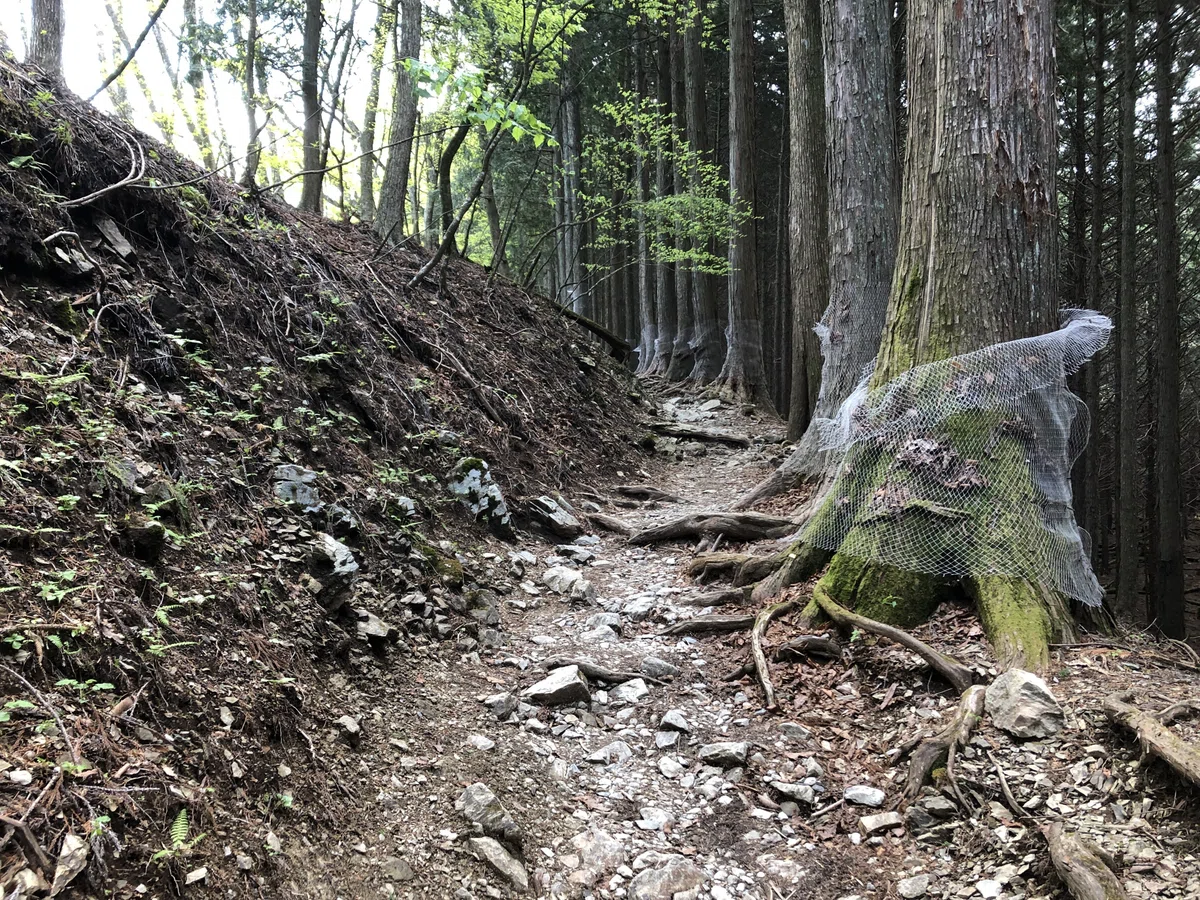 妙法ヶ岳への山道