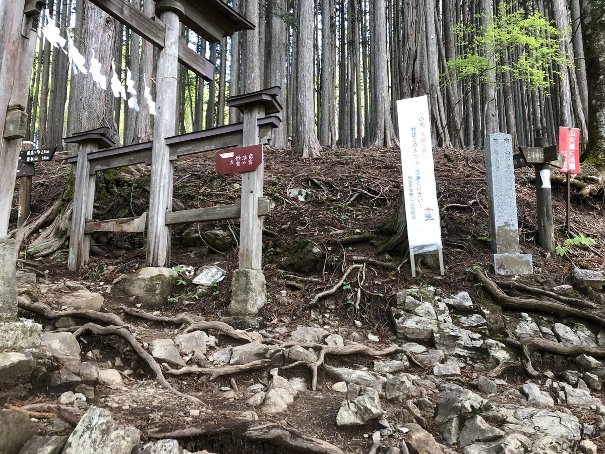 雲取山方面との分岐