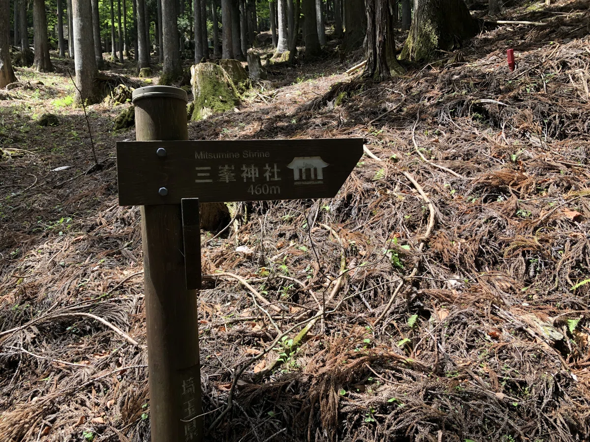 三峯神社方面との分岐と道標