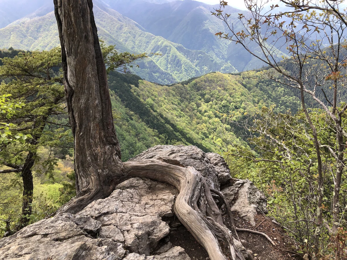 三峯神社の奥の院の少し先にあるビューポイント
