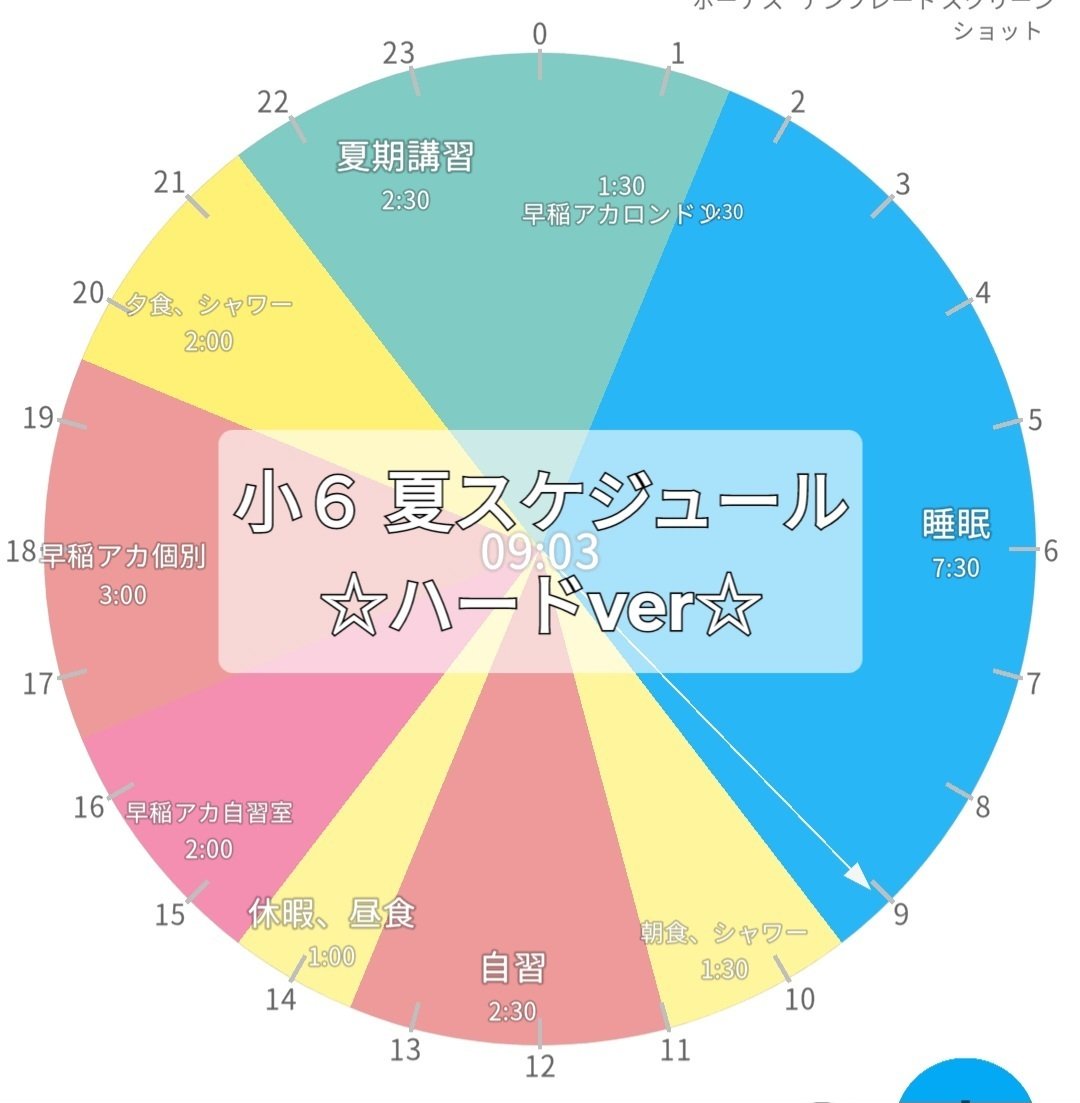 小6 夏期講習 早稲田アカデミー 6年生 上位校 早稲アカ 2024年 m69886765658_1.jpg?1719294898