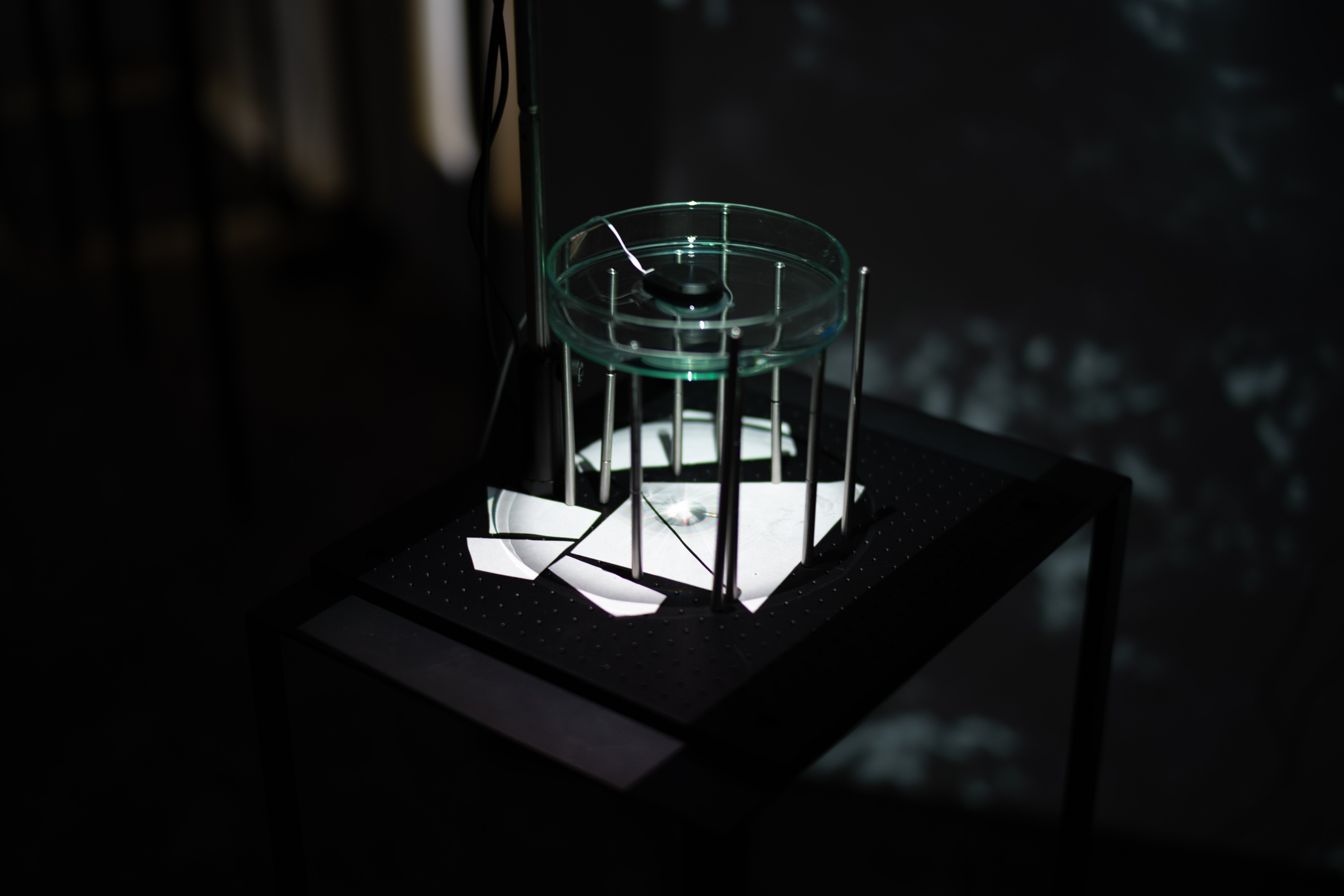 万博 null2 ナオライモード 最終日 限定 枡 ヌルヌル 落合陽一 ヌルヌル 万博 2024 null2 最終日 限定 枡 落合陽一 ヌルヌル ナオライモード