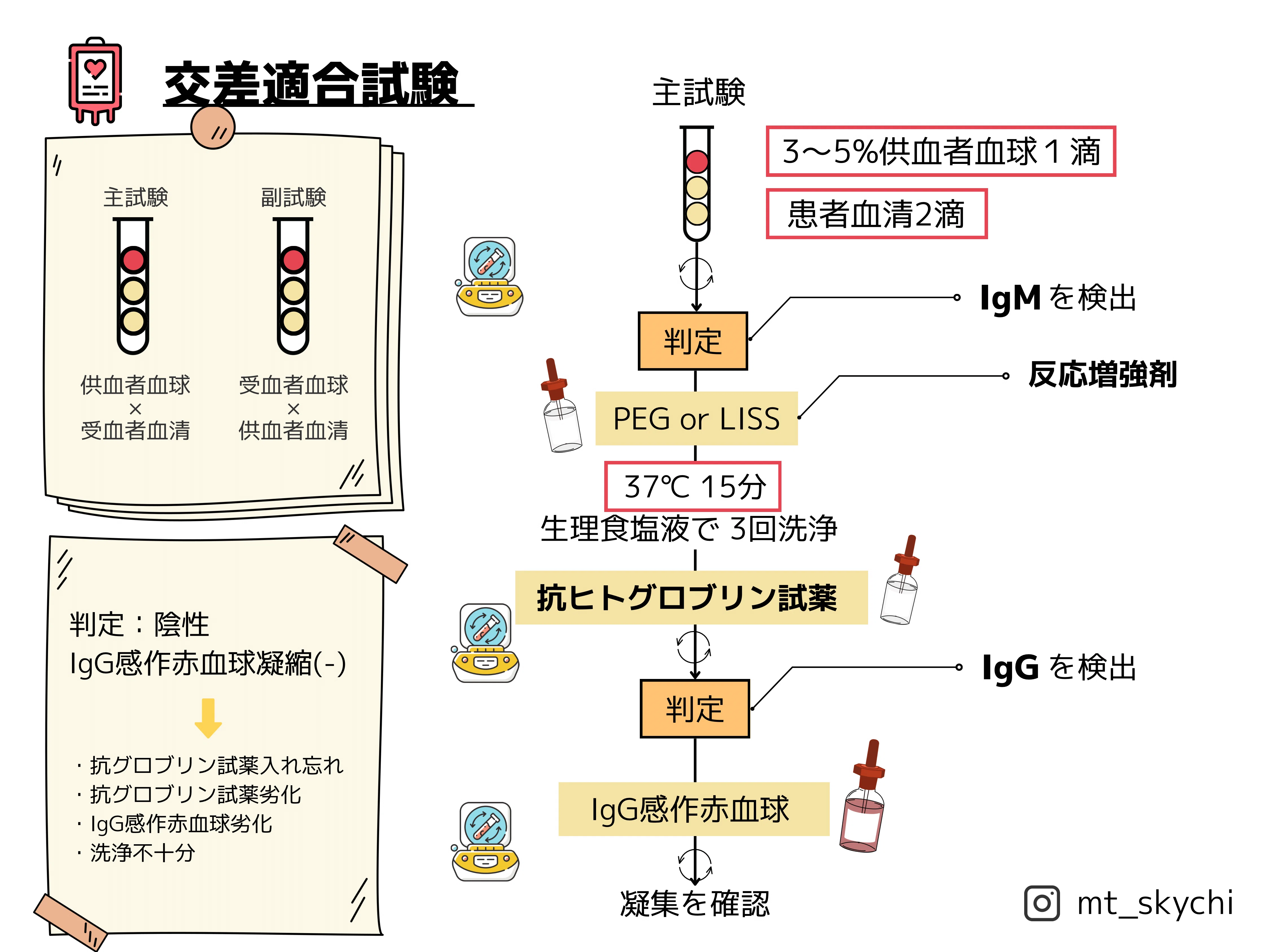 2025第71回臨床検査技師国家試験【臨床免疫学】#79〜89｜そらち/臨床