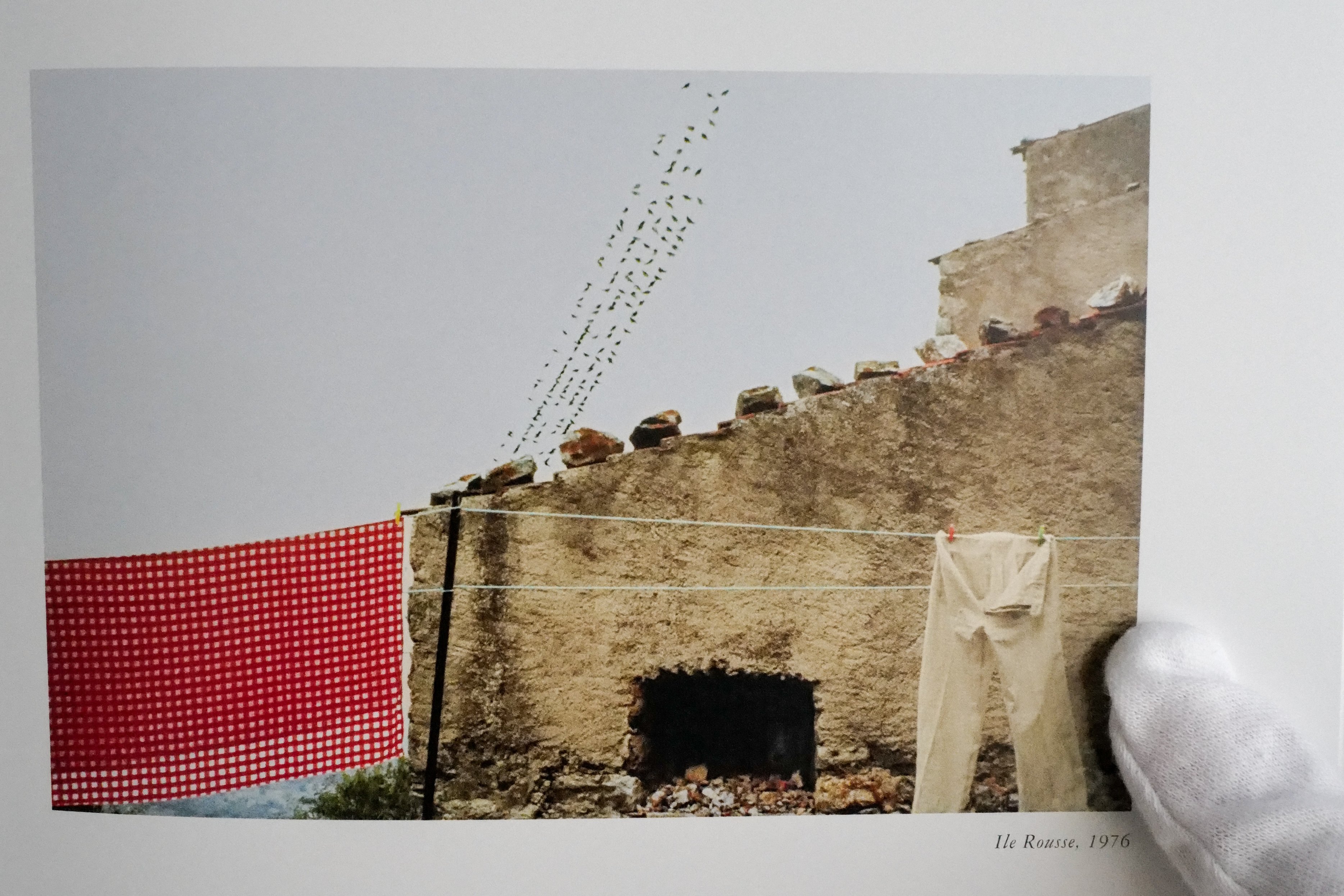 ルイジ・ギッリ『KODACHROME』と『写真講義』〜平面的な表現が