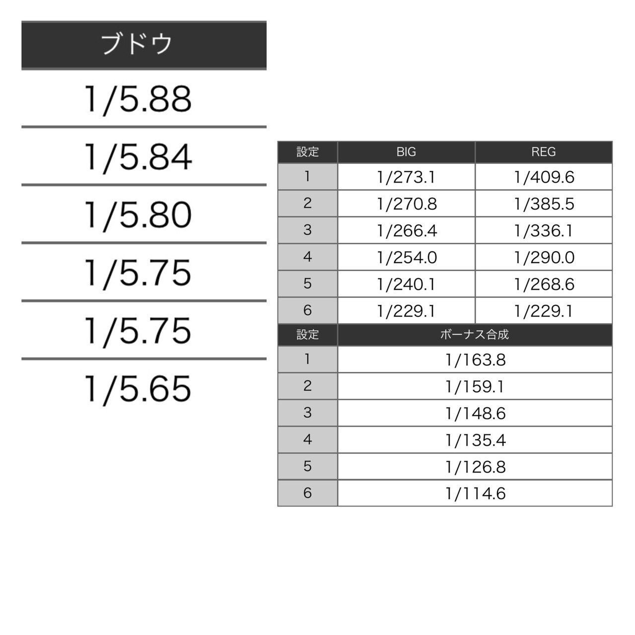 2025/5/8 スターダスト門前仲町店 潜入調査｜ちかまみさき