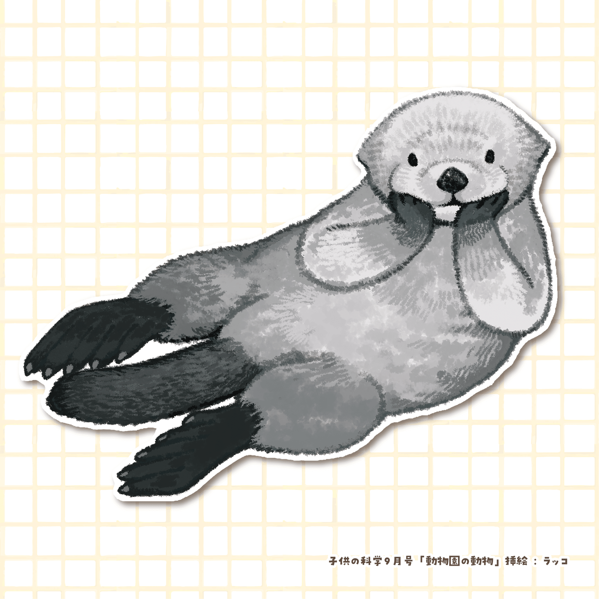 はじまりの線 #03｜子供の科学9月号｜ラッコ｜すなやますなこ