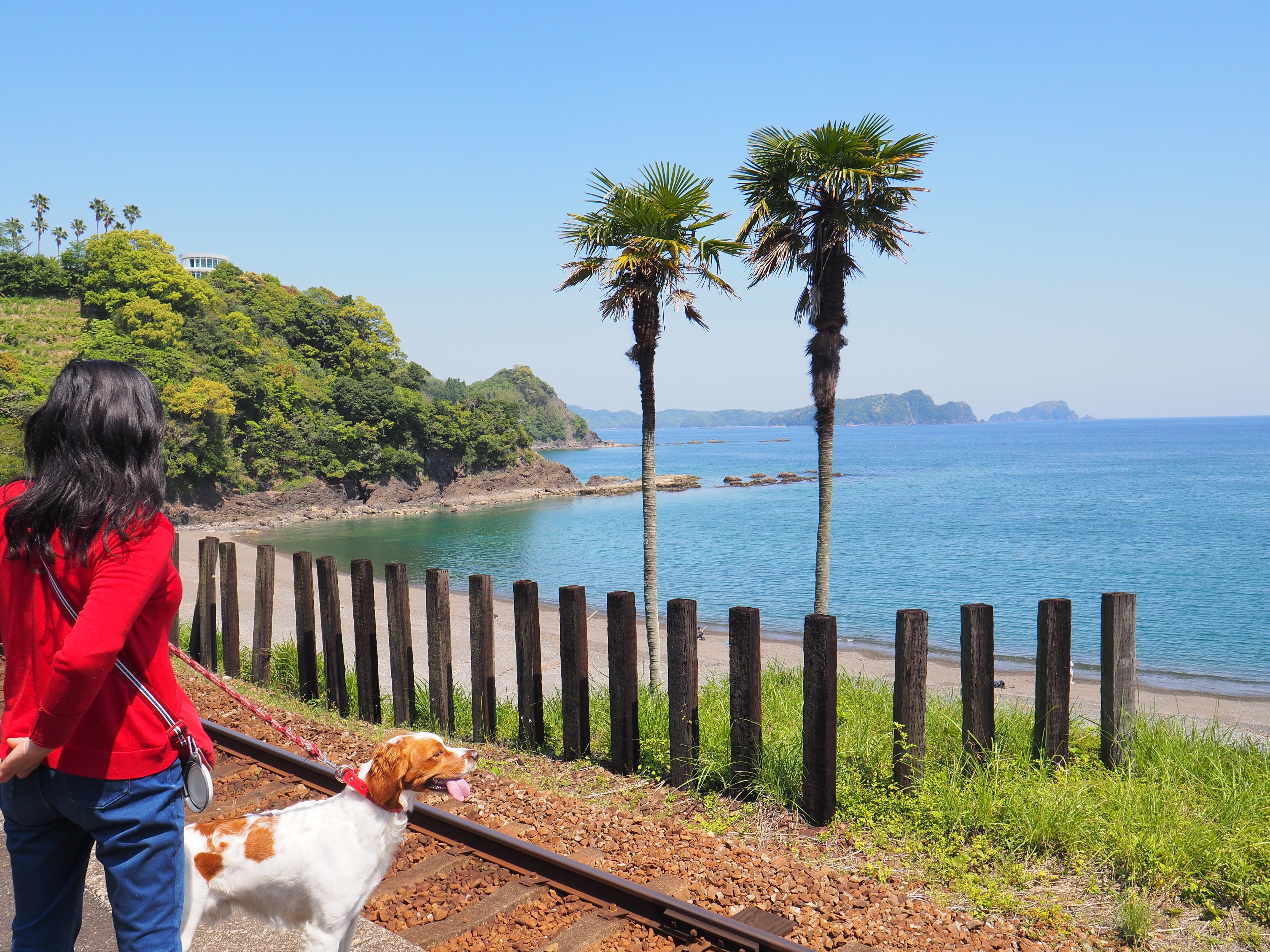 高知県須崎市の「海が見える駅」恋人たちの聖地で太平洋に抱かれる