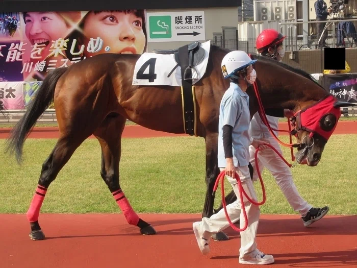 川崎競馬場パドックの様子1