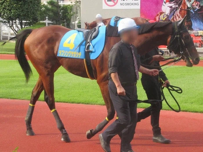 川崎競馬場パドックの様子2