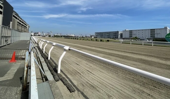 川崎競馬場本馬場