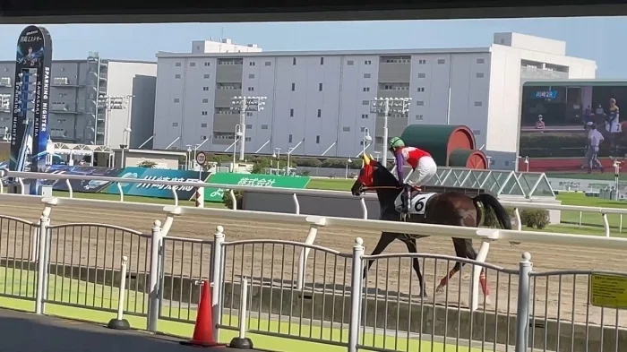 川崎競馬場本馬場入場の様子1