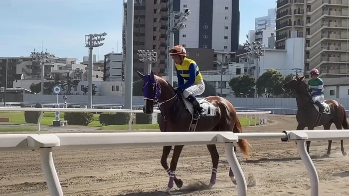川崎競馬場本馬場入場の様子2