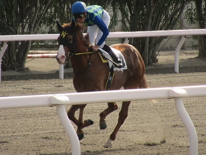 川崎競馬場本馬場入場の様子3