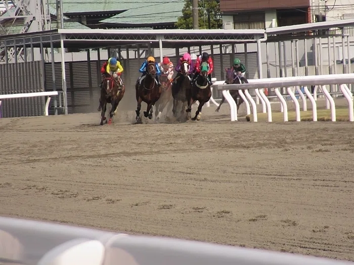 川崎競馬場レースの様子1
