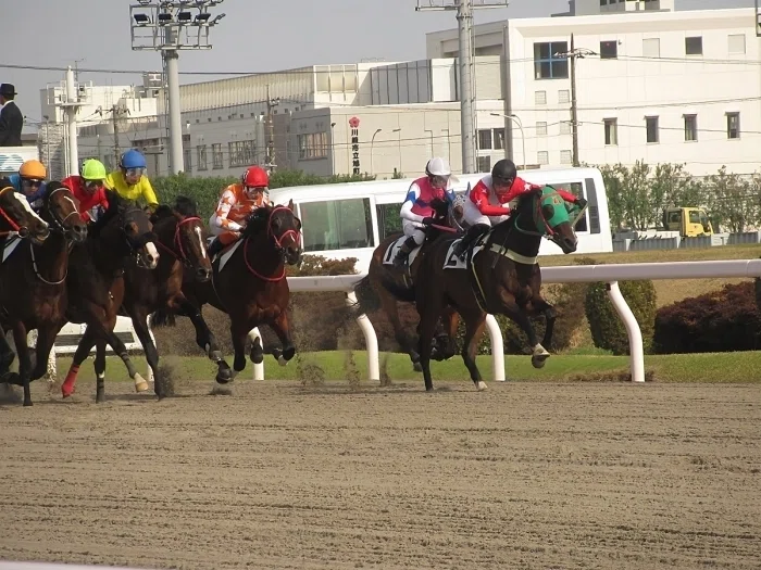 川崎競馬場レースの様子4