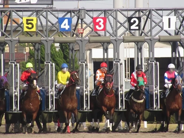 川崎競馬場レースの様子2