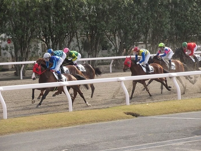 川崎競馬場レースの様子3