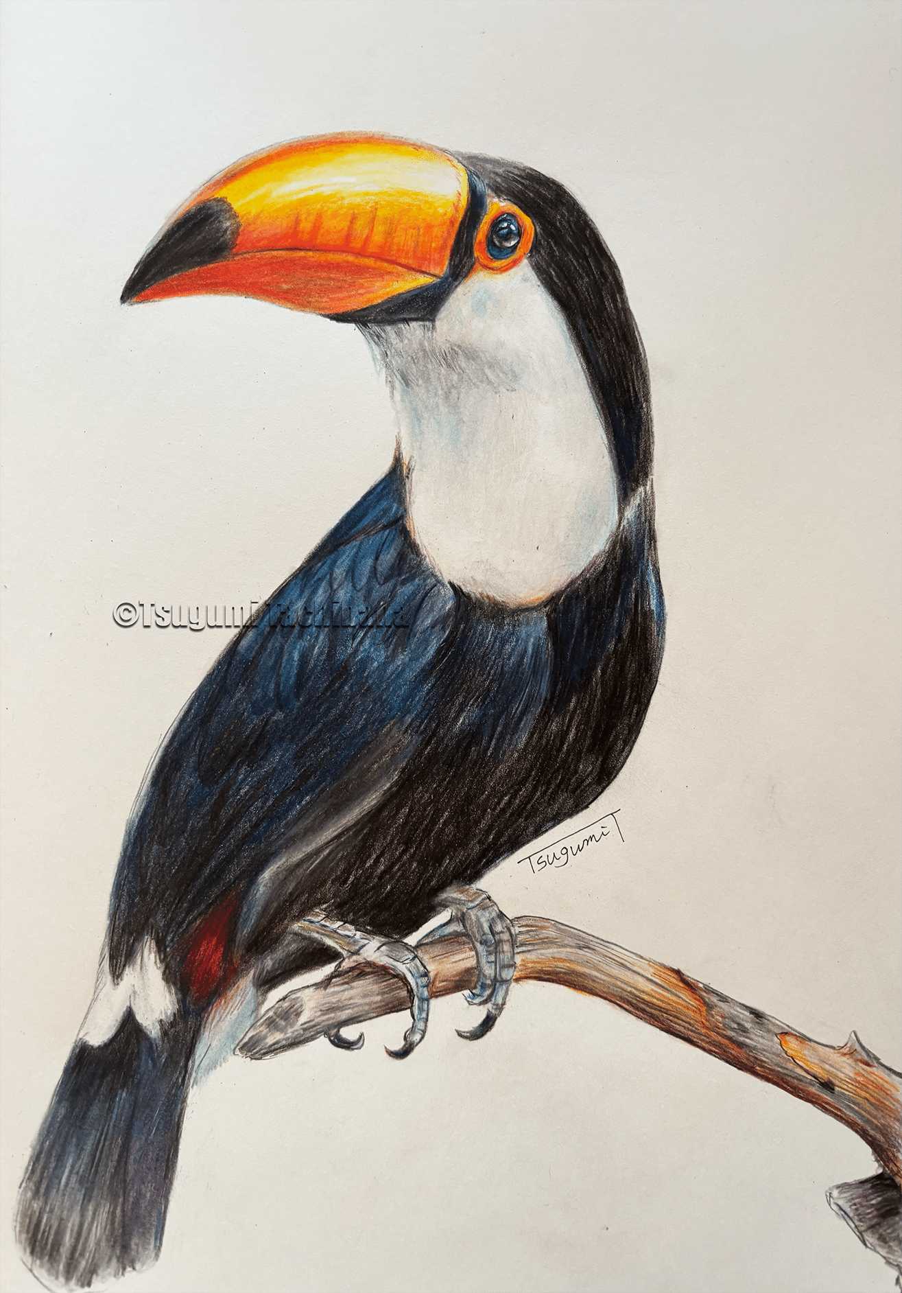 油絵 Alles Gute様専用 仲良く集まるくちばしの小さな鳥たち 2