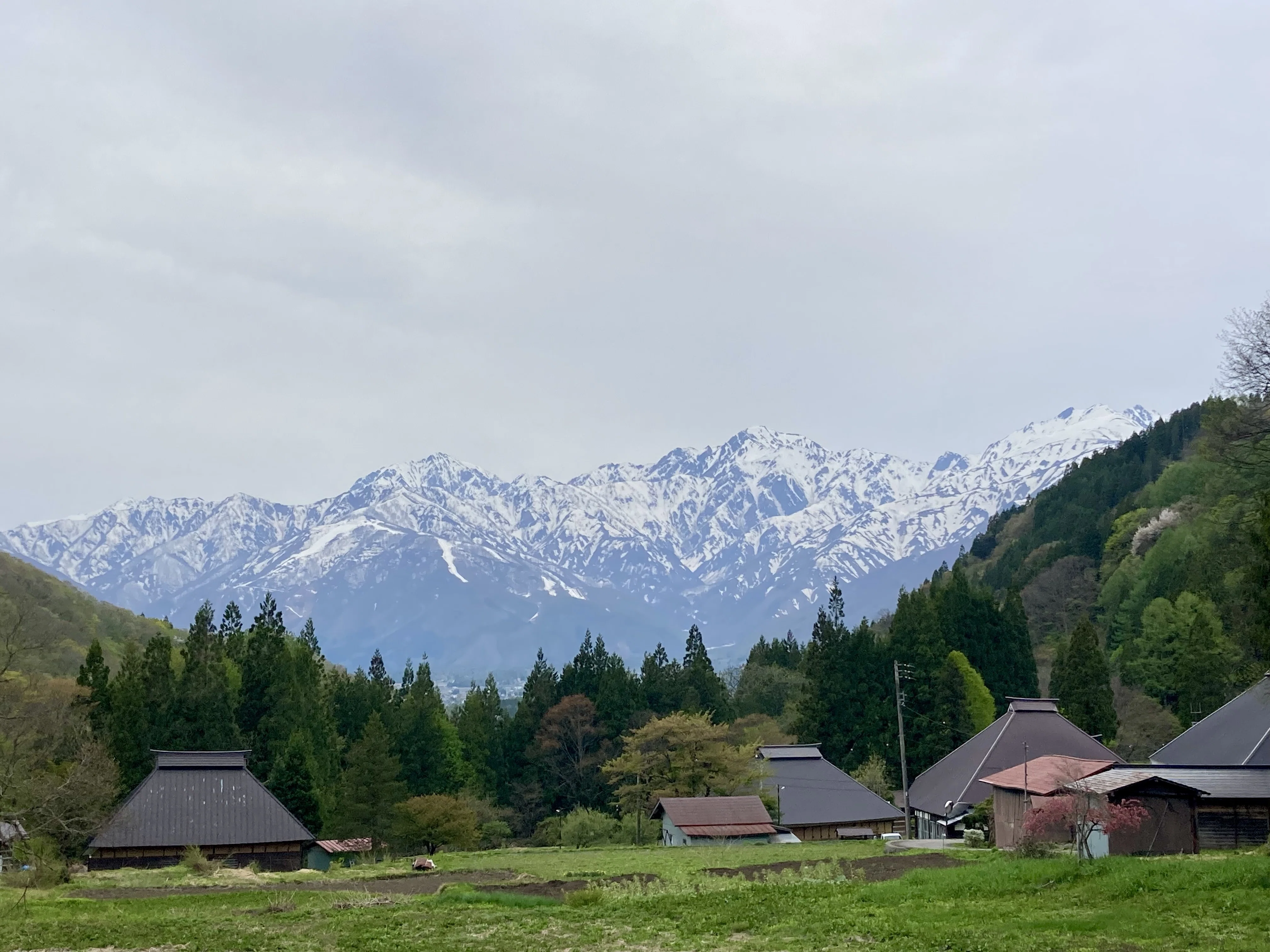 長野】北アルプスと桜とりんごの花と 須坂・白馬GW旅｜harenohini