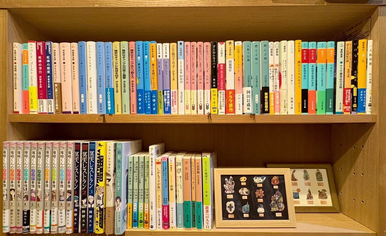 マス研員の本棚企画vol.9】ほっこり作品に癒される、あたたかい本棚