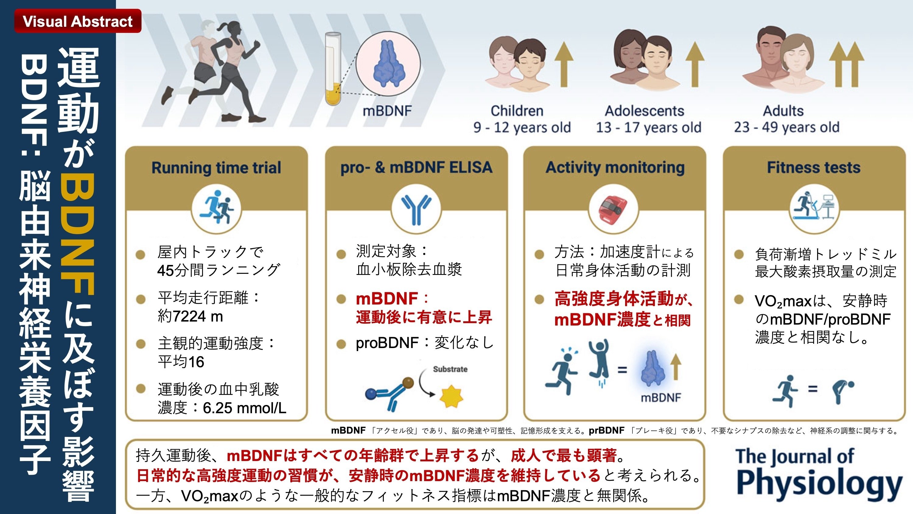 脳 機能と栄養 脳機能と栄養 / 横越 英彦【編】 - 紀伊國屋書店ウェブストア