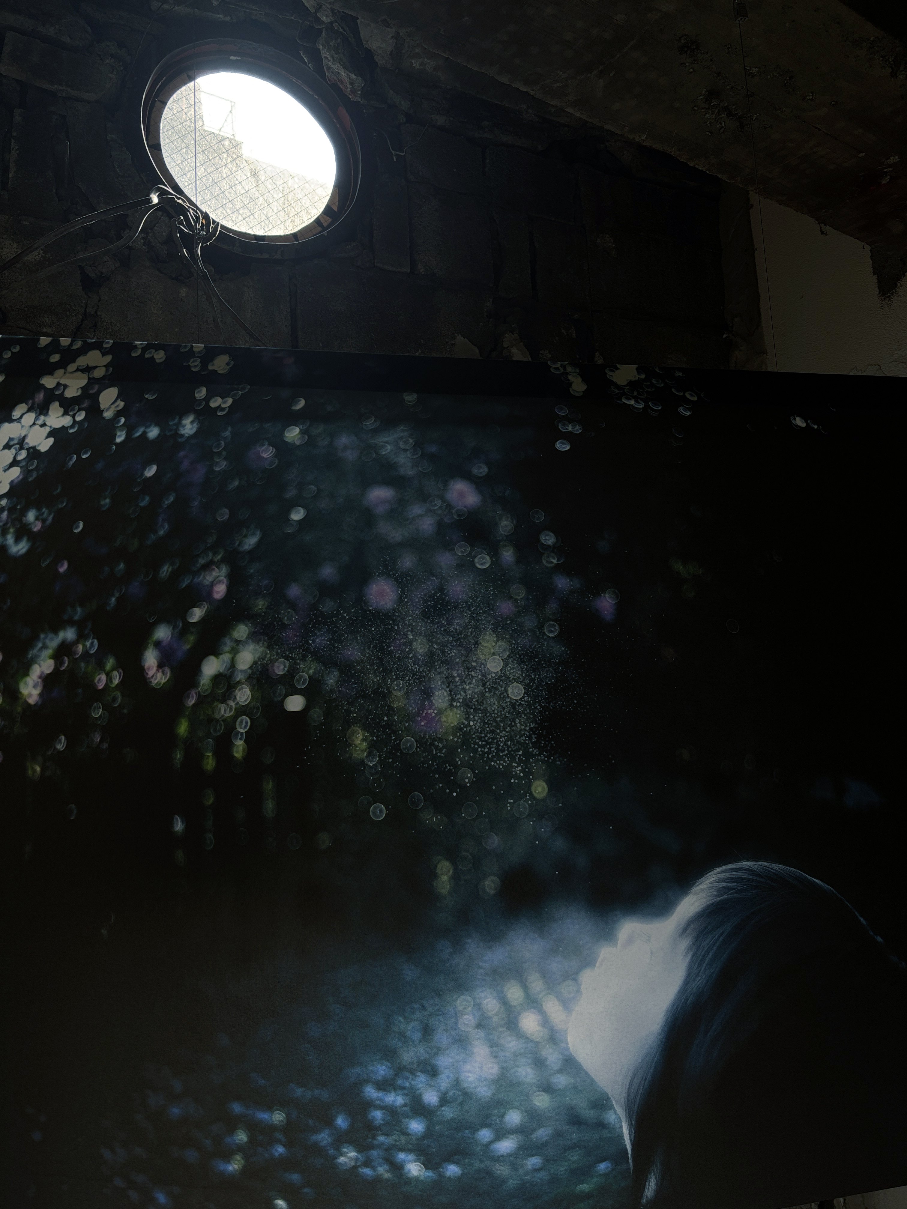 城桧吏 生写真 CD3枚 10 件の「城桧吏」や「城」のアイデアを見つけましょう | ネバーランド