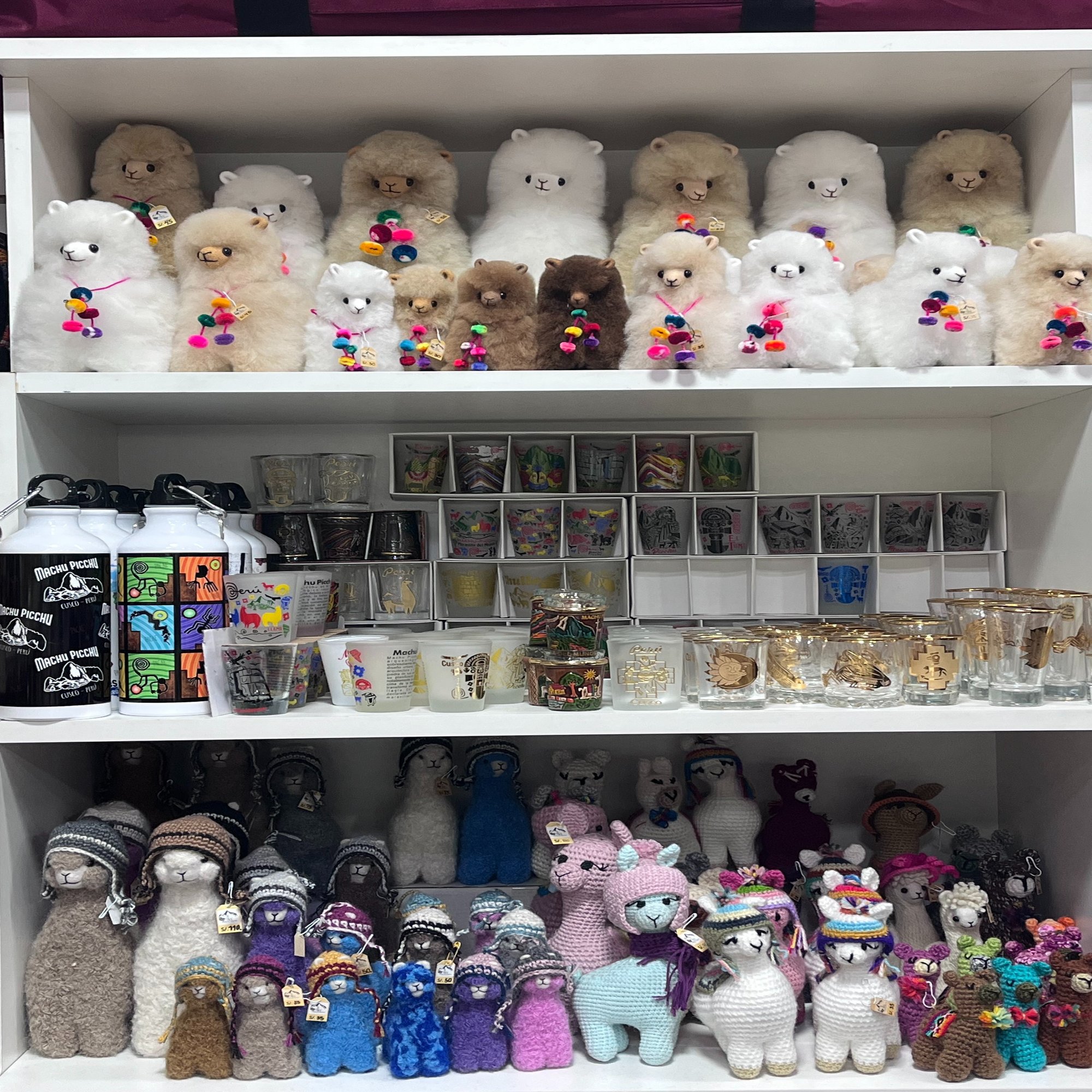 中南米、お金の準備💰現金？カード？米ドルは必要？🇲🇽🇵🇪🇧🇴【準備編】｜yui-uni