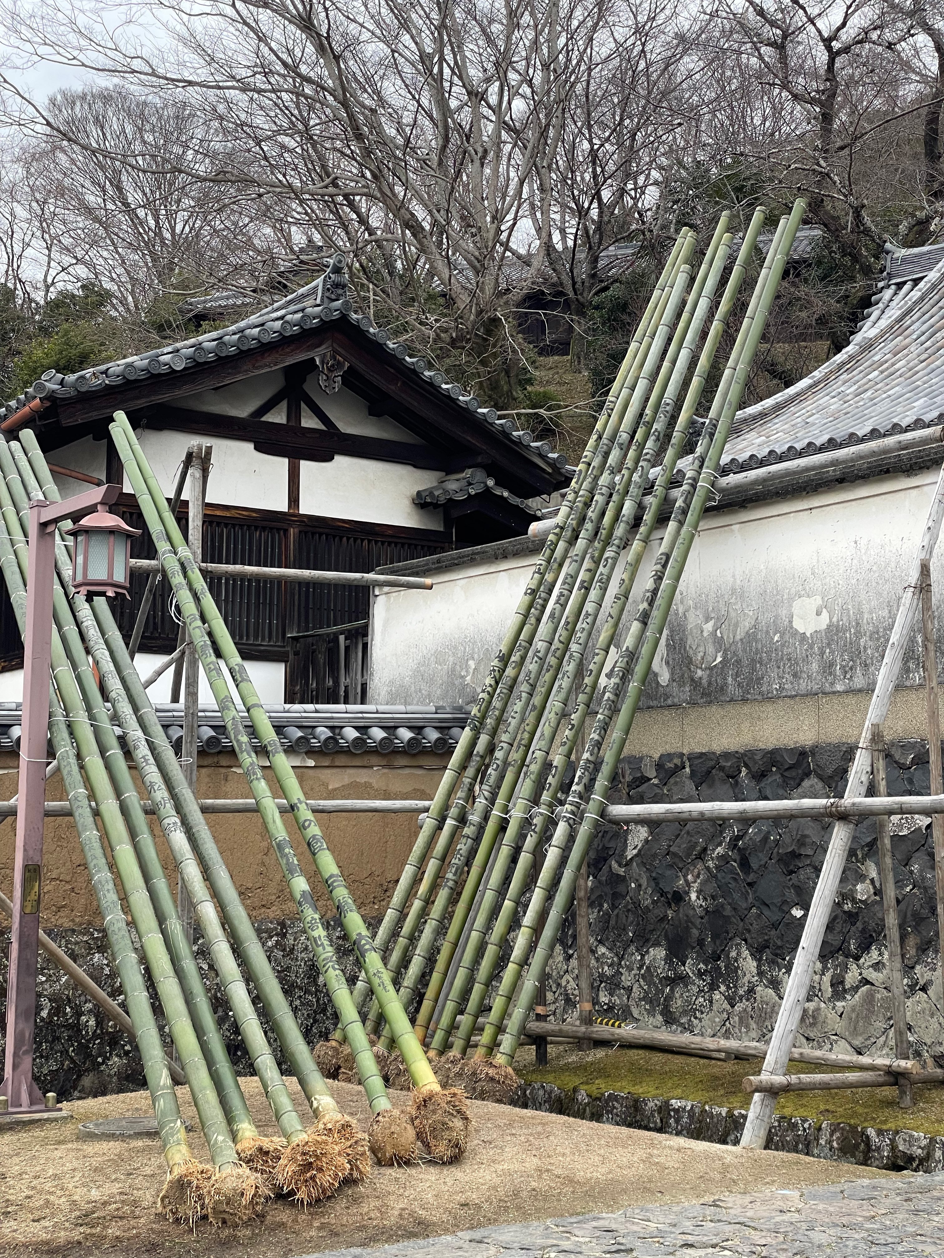 東大寺　奉納　竹 2025年 東大寺 二月堂 お水取り お松明奉納｜三橋玄 Gen