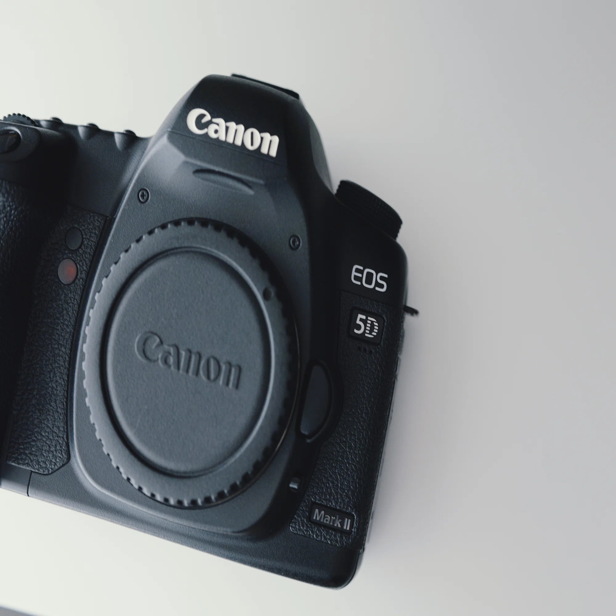 初めての一眼レフ機を購入【Canon EOS 5D markⅡ】：なぜ今このカメラ 