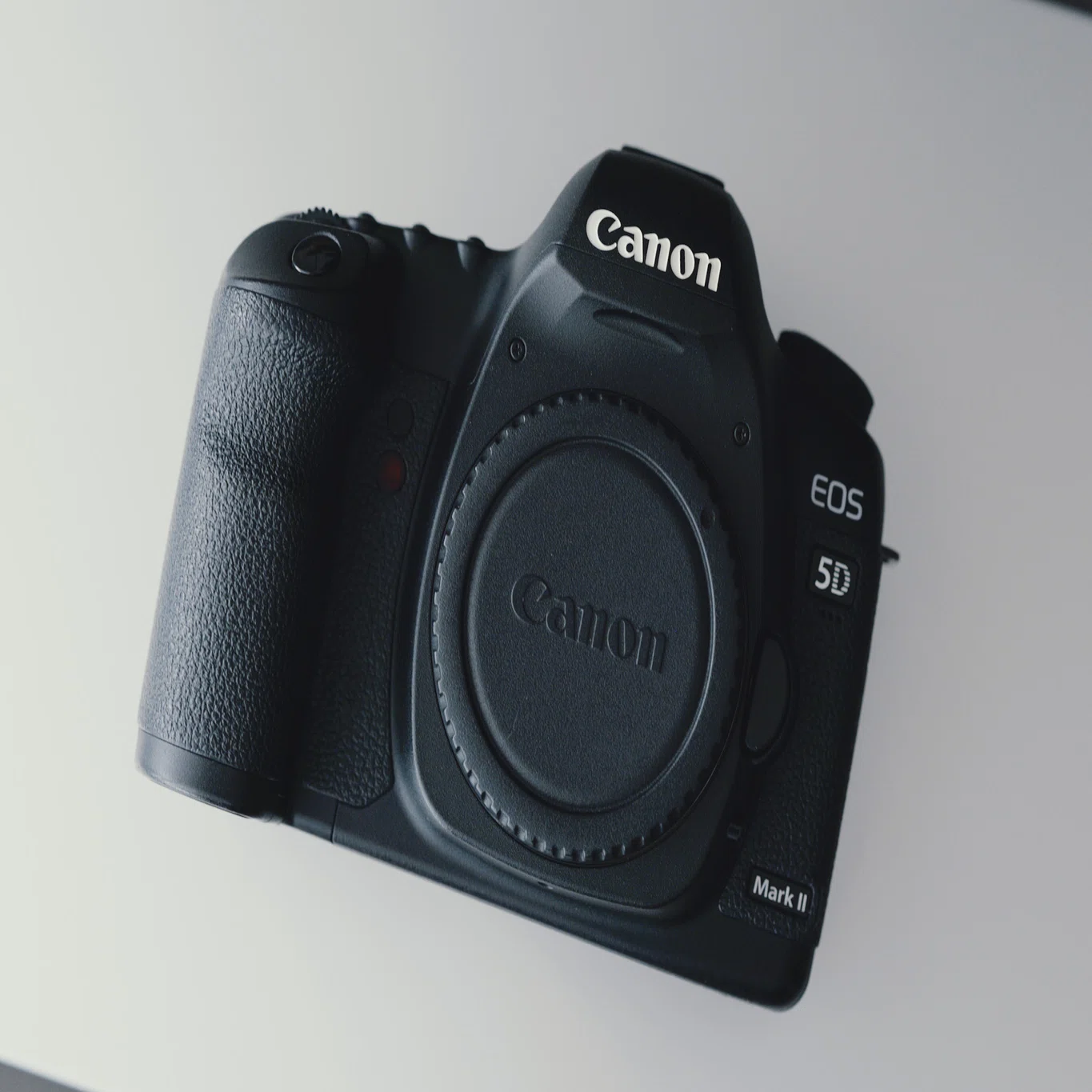 初めての一眼レフ機を購入【Canon EOS 5D markⅡ】：なぜ今このカメラ 
