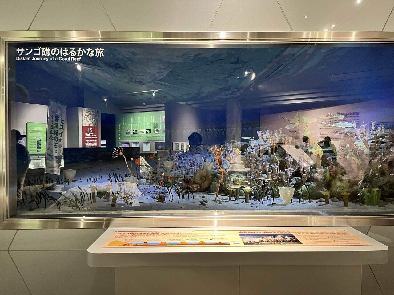 天に架けた巨大な橋 翡翠の地に伝わる木柱に託した願いとは 〜糸魚川の