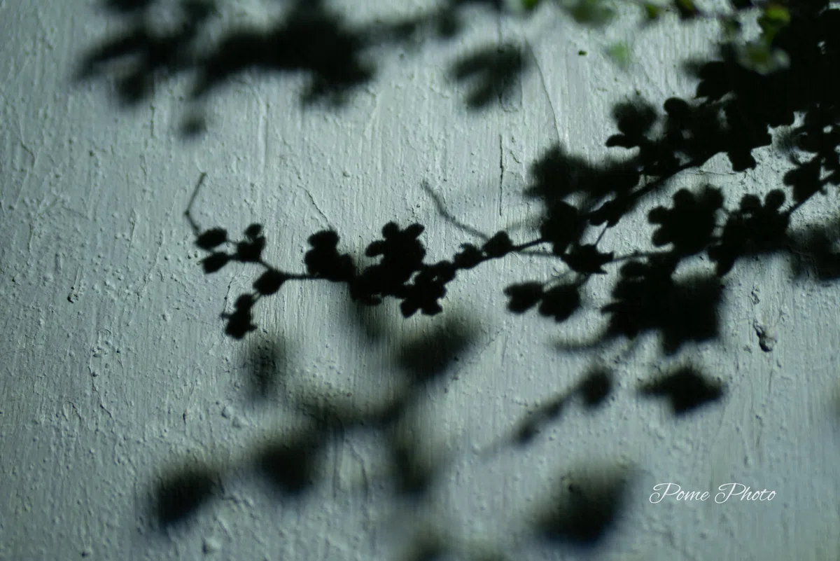 しとしと雨降る静かな休日|ぽめ