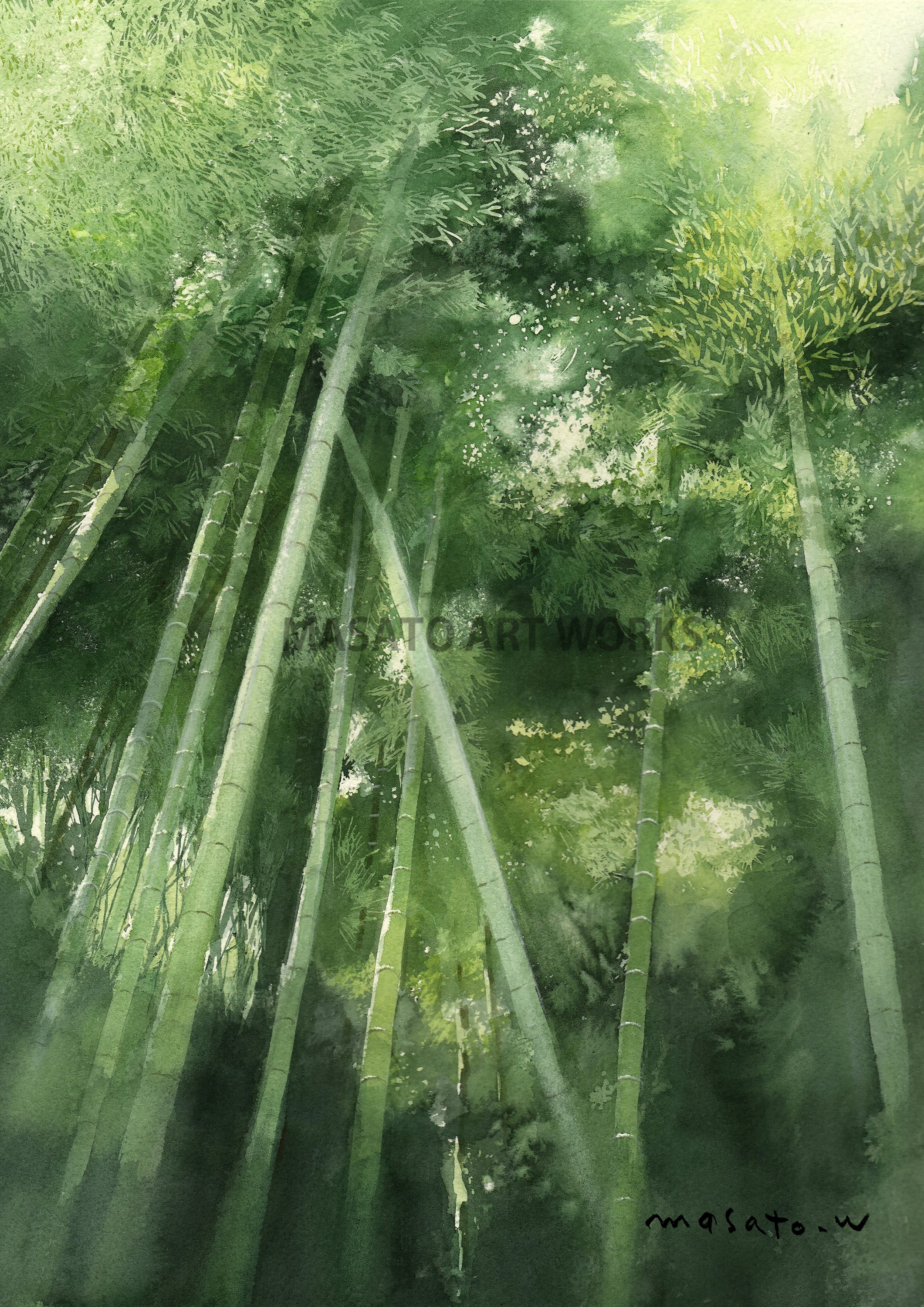 水彩で描く京都嵯峨野竹林の道・・・細かくマスキングして描きます