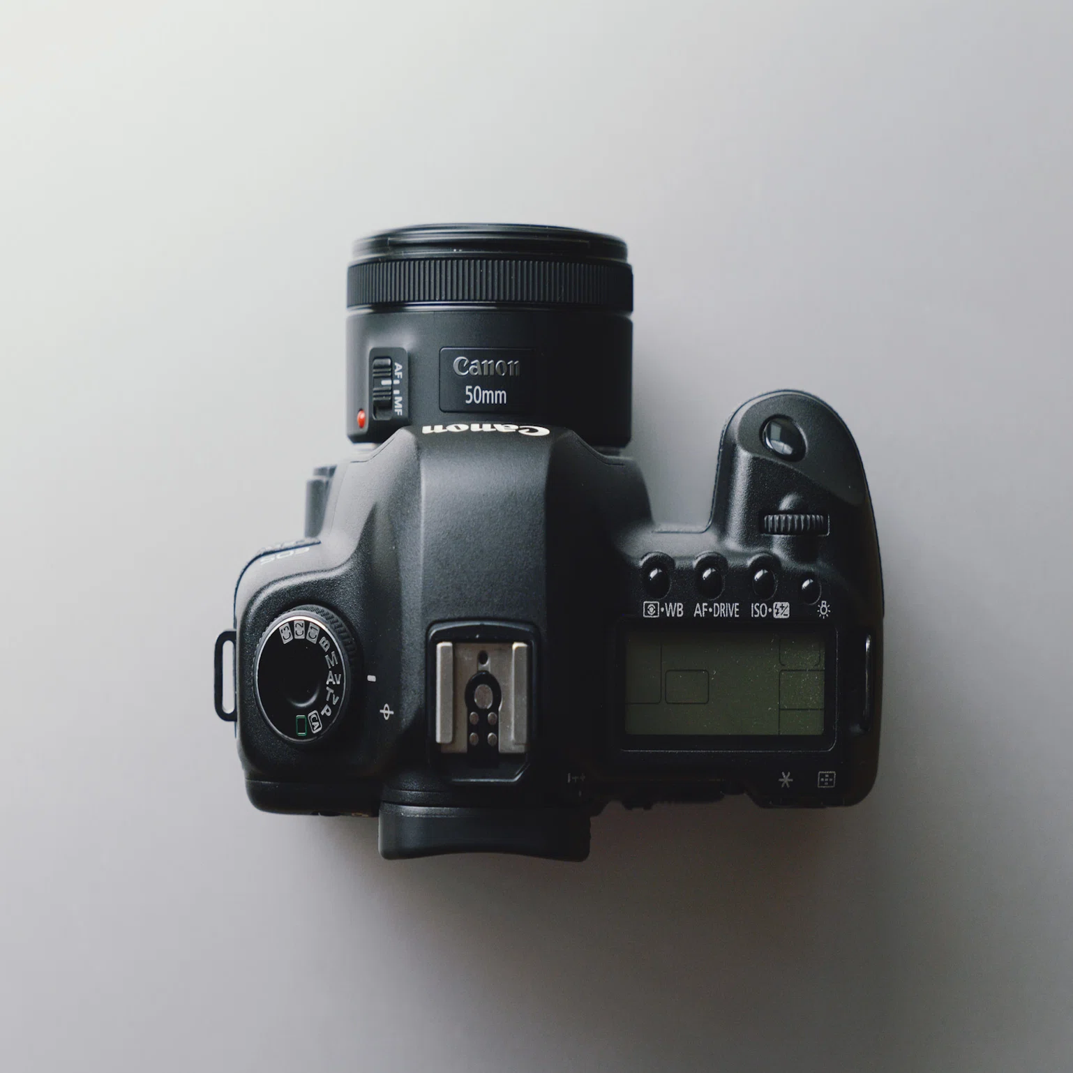 作例あり】Canon EOS 5D markⅡのファーストインプレッション｜kEigo
