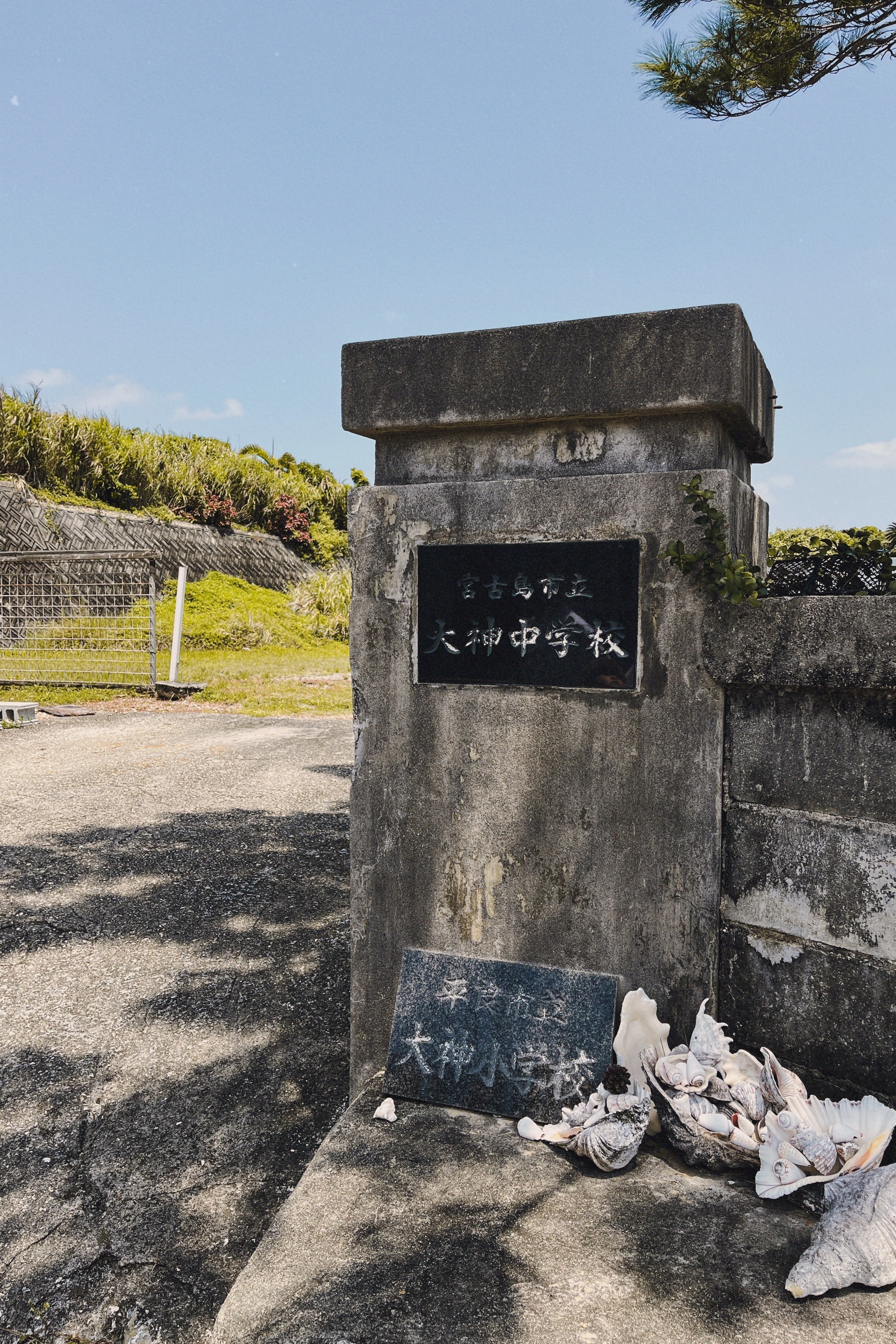 神の宿る島 「大神島」に呼ばれた日｜SHIHO